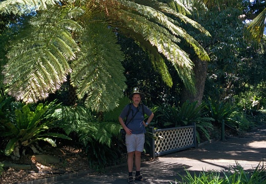 unbenannte Fotosession 20131213 0990